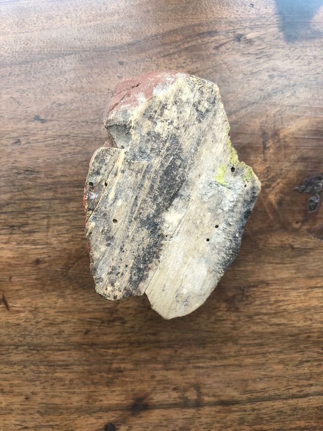 Antica scultura testa putto cherubino angelo XVII