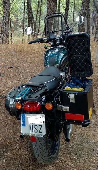 Triumph Bonneville T100