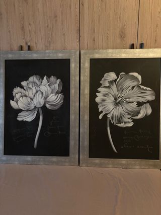 Coppia Quadri Fiori Neri Cornice Argento