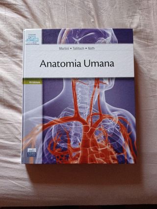 Anatomia umana