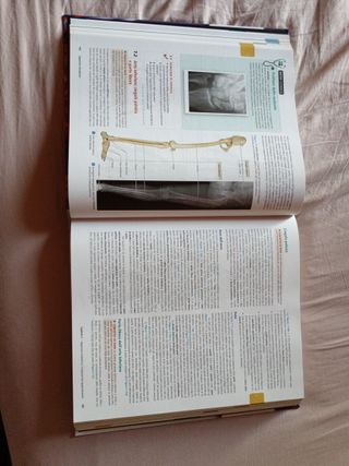 Anatomia umana
