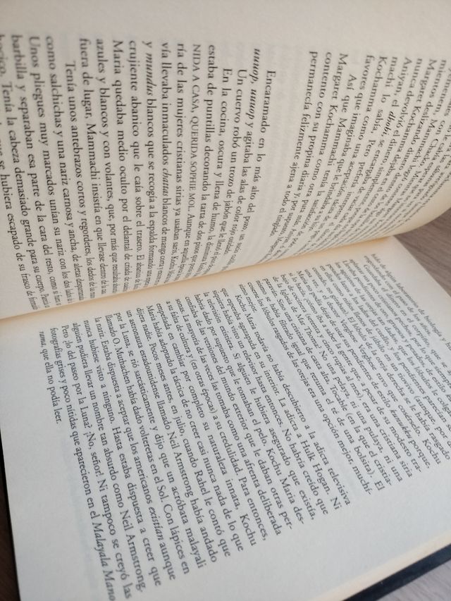 El dios de las pequeñas cosas