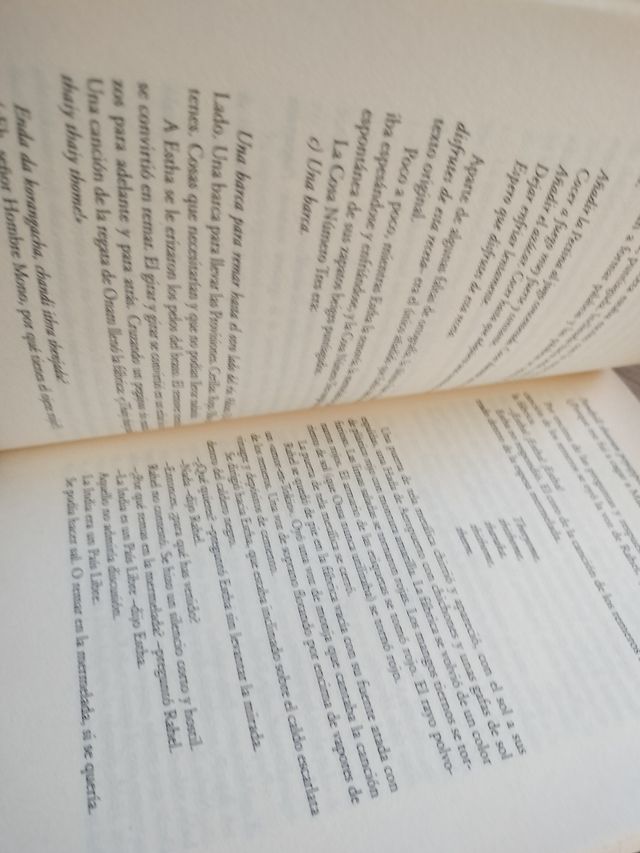 El dios de las pequeñas cosas