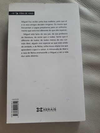 Unha estrela no vento (Infantil E Xuvenil) (Gal...
