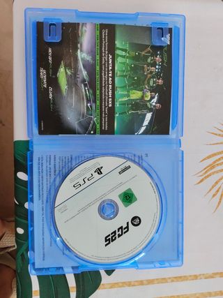 FC 25 PS5 EA Sports Videojuego