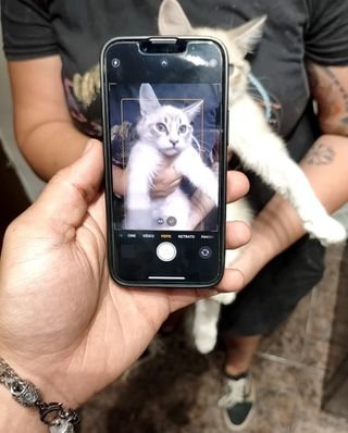 iPhone 13 mini 256GB