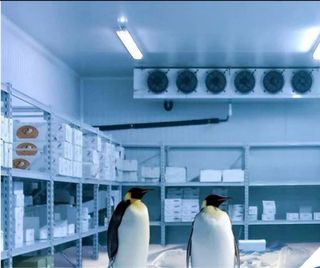 BUSCO EMPLEO FRIGORISTA