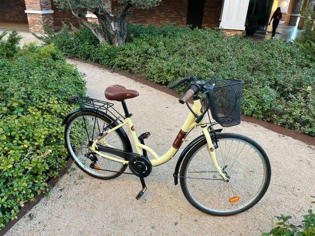 Bicicleta Urbana con Cesta