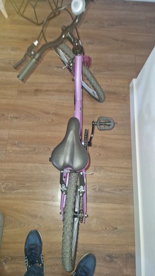 Bicicleta niña 20 morada