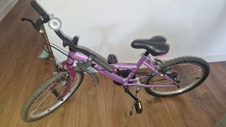 Bicicleta niña 20 morada