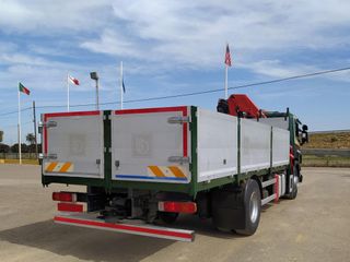 SCANIA P 270 - CAMIONES GRUA
