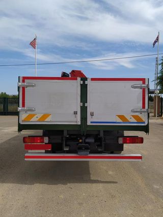 SCANIA P 270 - CAMIONES GRUA