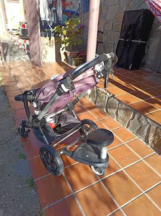 Carrito Bugaboo Camaleón 3