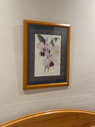 Cuadro de orquídeas