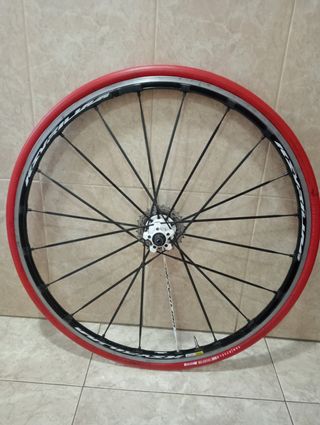 Rodillo entrenamiento Btwin + Rueda  Mavic
