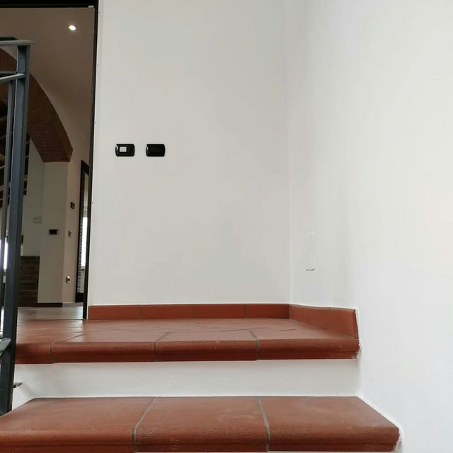 Pintor muy  económico y profesional 