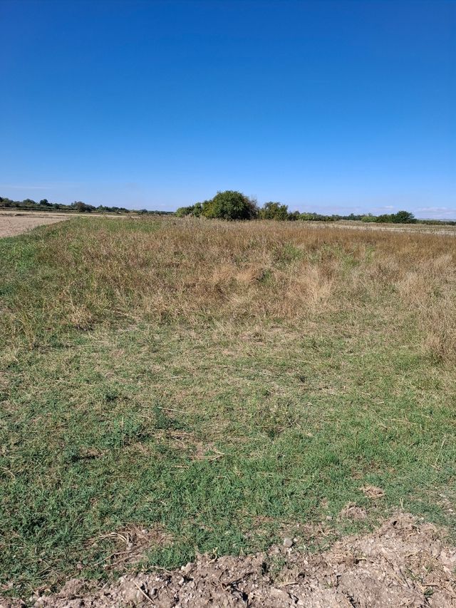 Finca rústica en venta