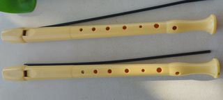 Lote 2 Flautas Escolares Color Beige