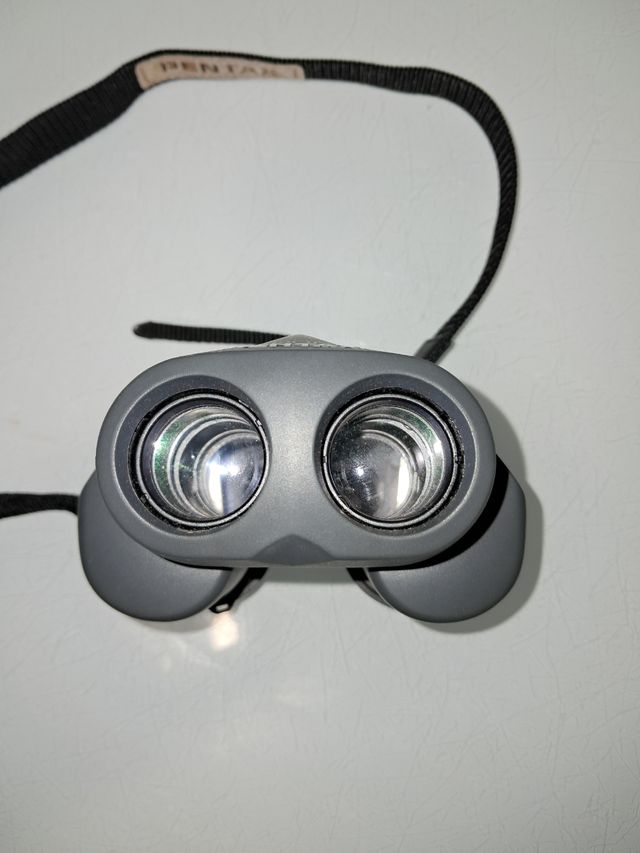 Prismáticos Pentax 8-20x24 Zoom