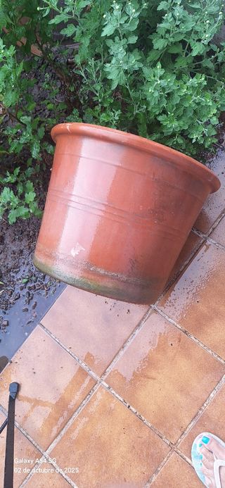 3 Macetas de terracota.