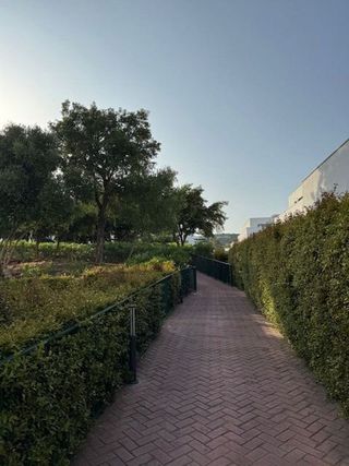 Piso en alquiler en Sotogrande Alto en San Roque