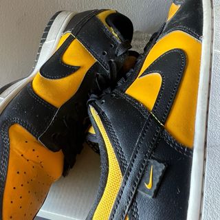 Nike Dunk Low Abeja (42)