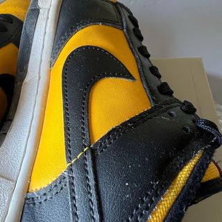 Nike Dunk Low Abeja (42)