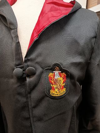 Disfraz Harry Potter 