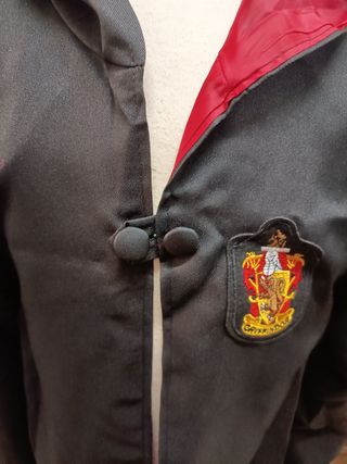 Disfraz Harry Potter 