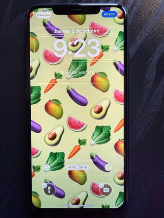 iPhone 11 Pro Max 256GB Verde noche con caja
