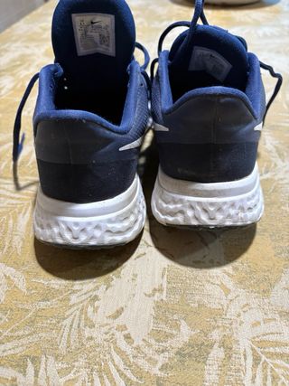 Zapatilla Nike Revolution Azul y Blanca