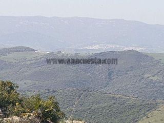 Solar en venta en Casares