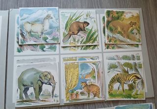 Juego Loteria de los Animales Antiguo