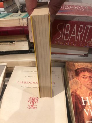 H. econòmica. Invasiones. España medieval 