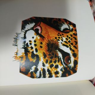 Cuando Los Animales Hablaban: Cuentos Amazonico...