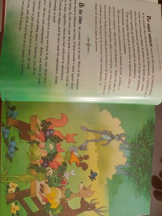 Libro cuentos bilingüe 