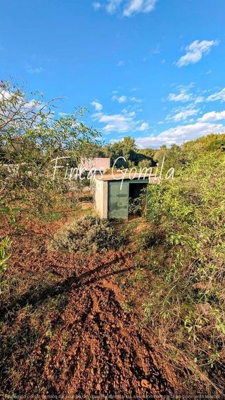 Terreno en venta en Alaior