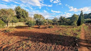 Terreno en venta en Alaior