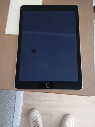 Apple iPad Plata
