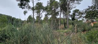 Solar en venta en Torrelles de Llobregat