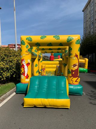 Castillo Hinchable Infantil
