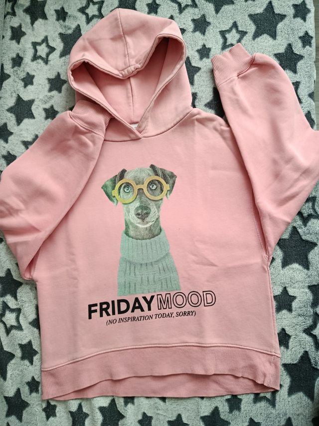 Sudadera rosa con perro y gafas