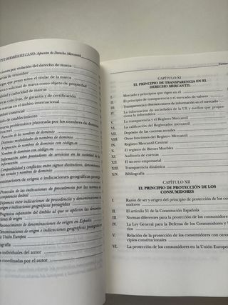 Apuntes de Derecho Mercantil (Papel + e-book): ...