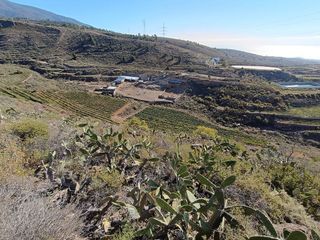 Terreno en venta en Arico