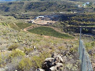 Terreno en venta en Arico