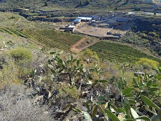 Terreno en venta en Arico