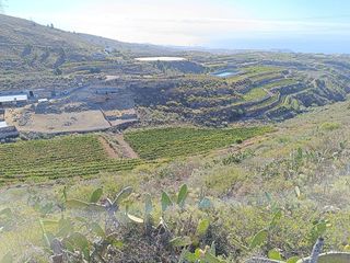 Terreno en venta en Arico
