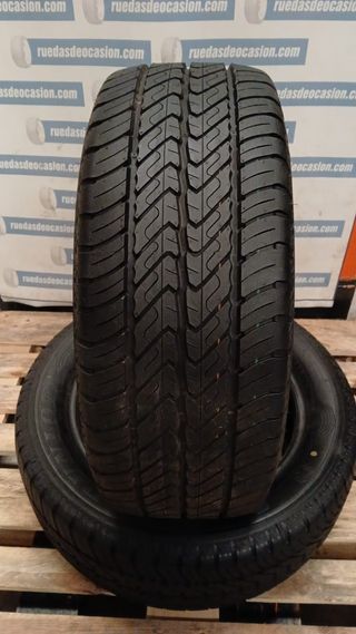 Neumático Dunlop 225/55/17 109/107 H ECONODRIVE