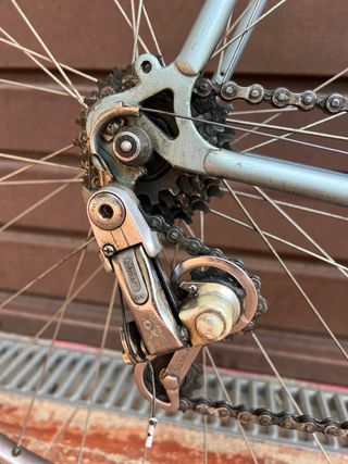 Bicicleta Koga Miyata Roadchamp XL