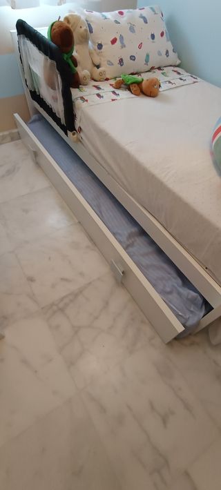 Trama Convertible